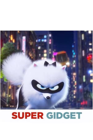 Poster Super Gidget 2019