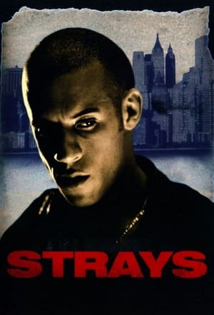 Poster Strays 1997