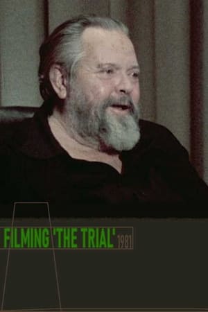 Poster Filming 'The Trial' 1981