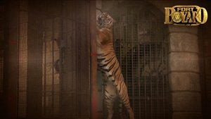 Images posters