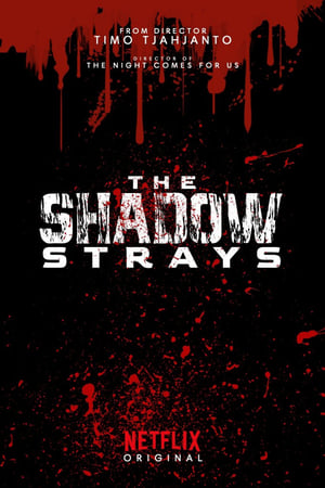 Poster The Shadow Strays 2024