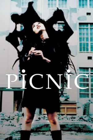 PiCNiC 1996