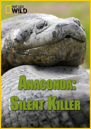 Poster Anaconda : Le tueur de l'ombre 2014