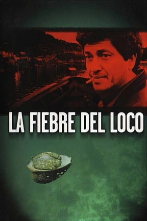 Poster La fiebre del loco 2001