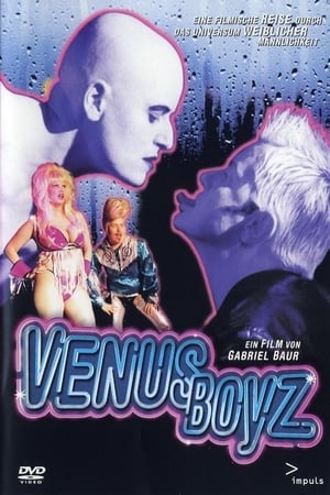 Télécharger Venus Boyz ou regarder en streaming Torrent magnet 