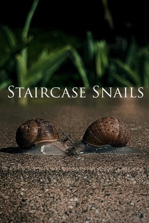 Staircase Snails (2025)