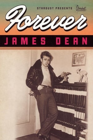 Poster Forever James Dean 1988