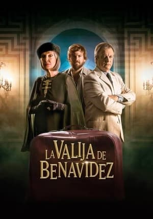 Poster La valija de Benavidez 2016