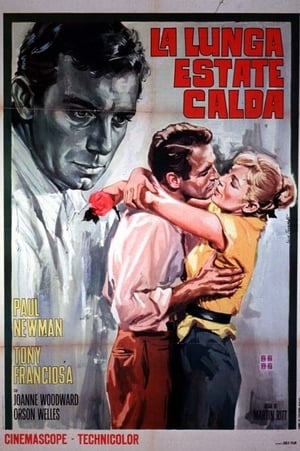 Poster La lunga estate calda 1958