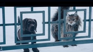 Capture of Cat and Dog (2024) FHD Монгол хэл