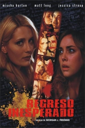 Poster Regreso inesperado 2009