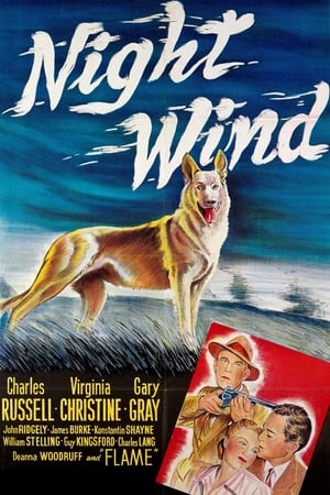 Poster Night Wind 1948