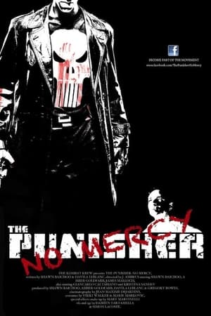 Télécharger The Punisher: No Mercy ou regarder en streaming Torrent magnet 