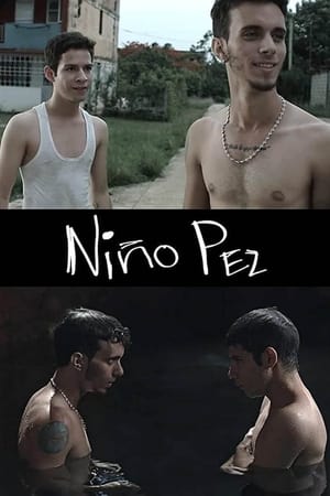 Image Niño pez