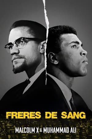 Télécharger Frères de sang: Malcolm X et Mohamed Ali ou regarder en streaming Torrent magnet 