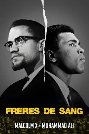 Image Frères de sang: Malcolm X et Mohamed Ali