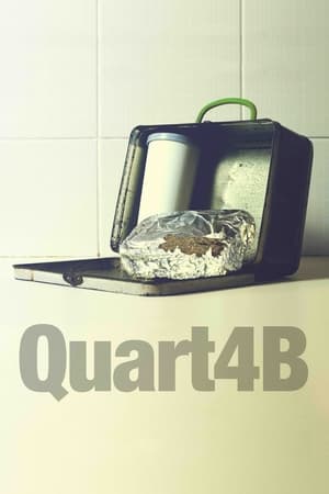 Télécharger Quarta B ou regarder en streaming Torrent magnet 