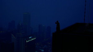 Images posters