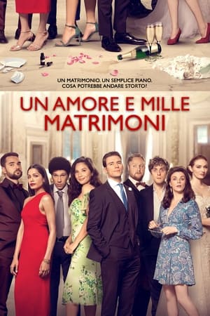 Un amore e mille matrimoni 2020