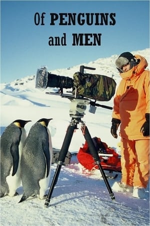 Image Of Penguins and Men