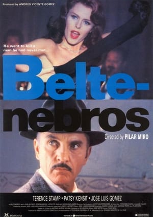 Poster Beltenebros 1991