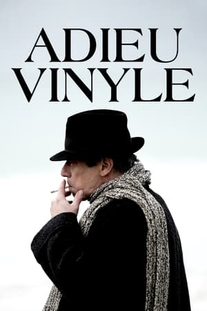 Image Adieu vinyle