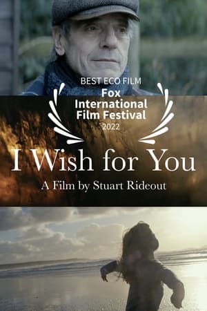 Poster I Wish For You 2016