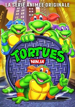 Image Les Tortues Ninja