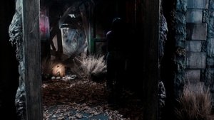 Images posters