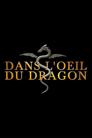 Dans l'oeil du dragon Seizoen 8 2024