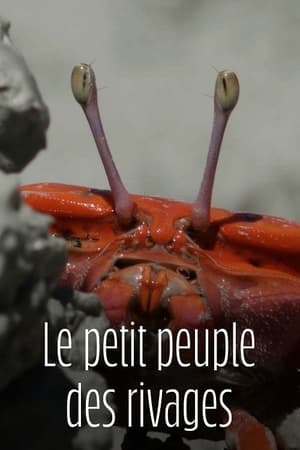 Image Le Petit Peuple des rivages