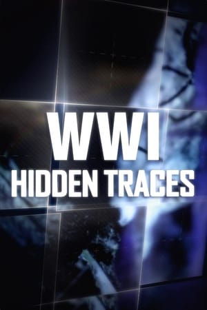 WWI: Hidden Traces 2014