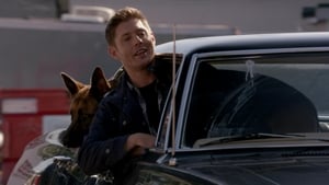 Supernatural Season 9 :Episode 5  Dog Dean Afternoon