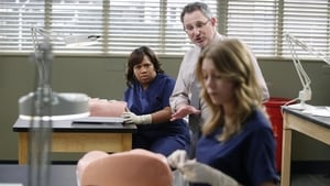 Grey’s Anatomy Season 9 Episode 13