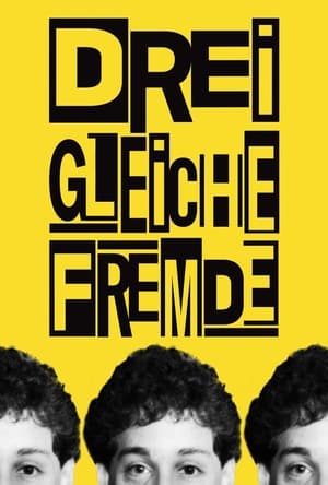 Drei Gleiche Fremde 2018