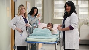 Grey's Anatomy Season 6 :Episode 23  Sanctuary