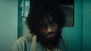 McWalter (2025)