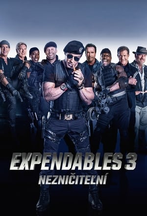 Poster Expendables: Nezničiteľní 3 2014