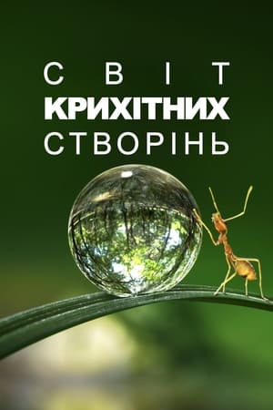 Image Крихітний світ