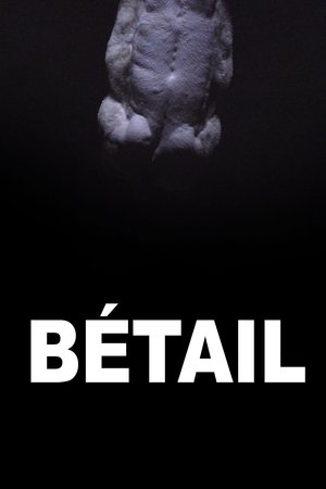 Bétail 2014