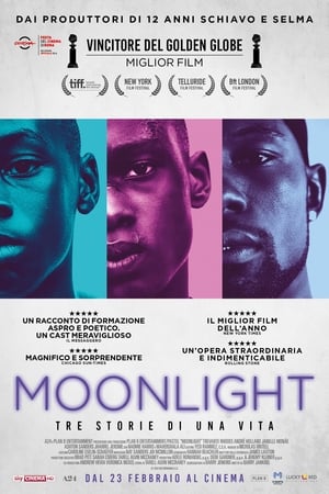 Poster Moonlight 2016