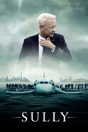 Poster Sully 