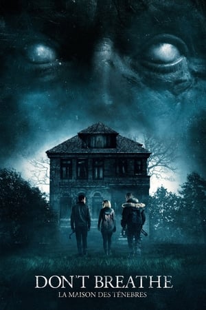 Image Don't Breathe : La Maison des ténèbres