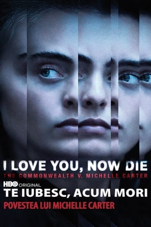 I Love You, Now Die: The Commonwealth v. Michelle Carter 2019