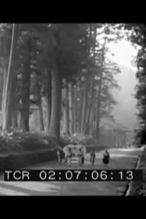 Nonton film Nikkô Temples, Kyoto, Japan (1920) terbaru sub indo