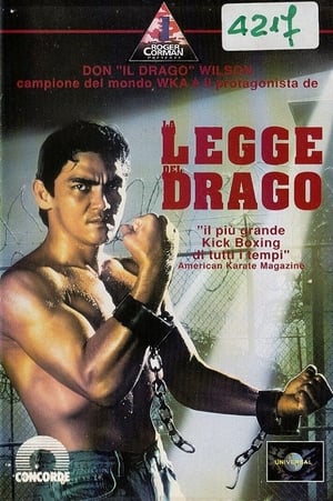 Poster La legge del drago 1992