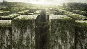 Images posters