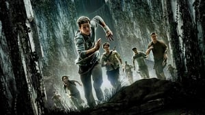 مشاهدة فيلم The Maze Runner 2014 مترجم