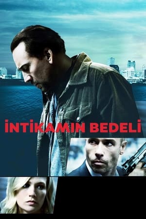 Poster İntikamın Bedeli 2011