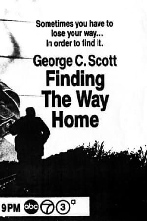 Poster Finding the Way Home 1991